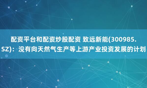 配资平台和配资炒股配资 致远新能(300985.SZ)：没有向天然气生产等上游产业投资发展的计划
